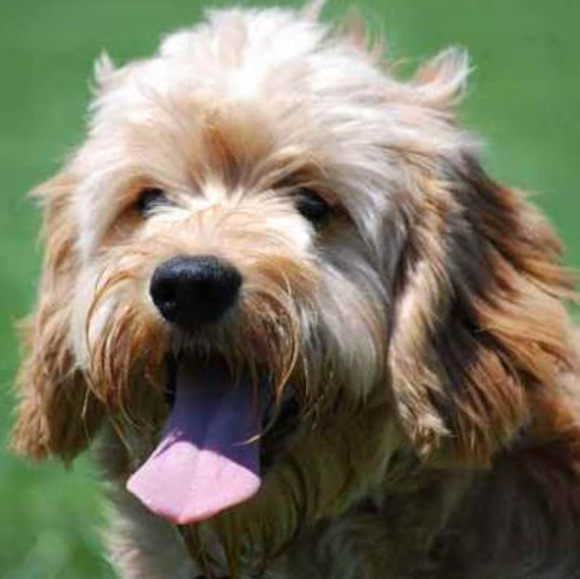 Meet your Posher, Julia - Picture 1 of 1